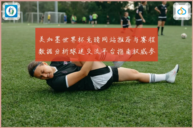 美加墨世界杯竞猜网站推荐与赛程数据分析球迷交流平台指南权威参考