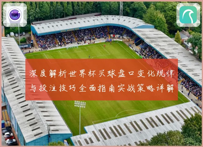 深度解析世界杯买球盘口变化规律与投注技巧全面指南实战策略详解