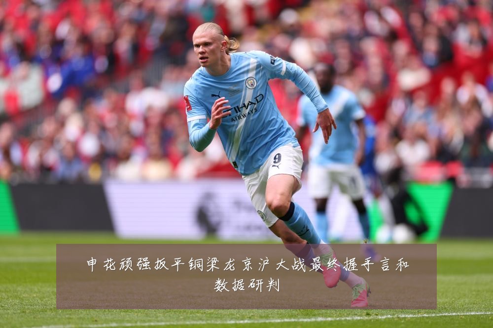 申花顽强扳平铜梁龙京沪大战最终握手言和数据研判